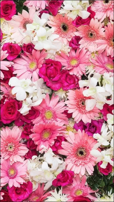 En avril 1923, à combien de mois le service militaire français est-il porté ?