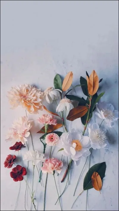 Quelle ville sera bombardée par erreur par les Américains en avril 1944 ?