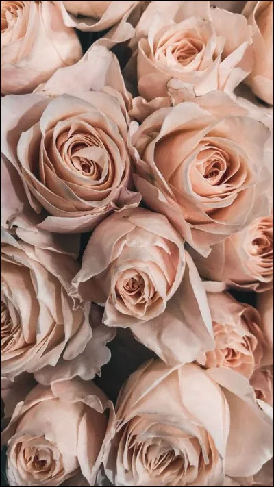 En avril 1983, à quel âge la retraite passe-t-elle en France ?