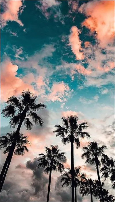 Quel est le diamètre des balles de footbag ?