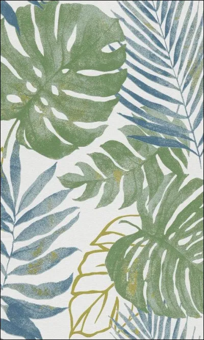 Dans quel pays trouve-t-on la ville de Balle ?