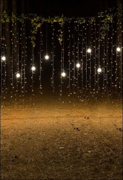 Sur quel objet astronomique un cratère s'appelle-t-il Alter ?