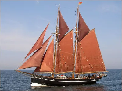 Quel oiseau peut être Siméon, pontique ou railleur ?