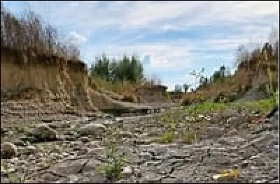 Dans les aventures de Tintin, quel nom porte la boucherie de Moulinsart ?