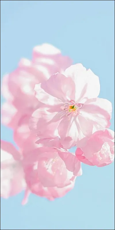 Comment dit-on "cuivre" en anglais ?