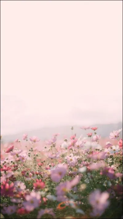 Au bout de combien d'années de mariage célèbre-t-on les noces de cuivre ?