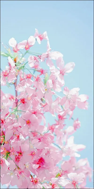 Quel jour du mois de nivôse était appelé le jour du cuivre ?