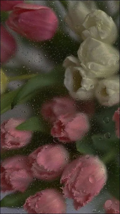 Où retrouve-t-on la rivière du Cuivre ?