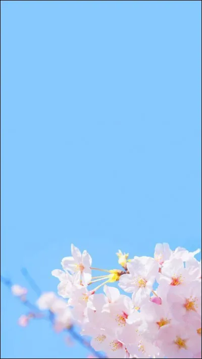 Quand l'âge du cuivre cesse-t-il ?