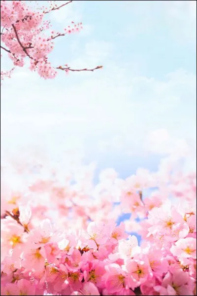 Dans quel département français le ru du Cuivre passe-t-il ?