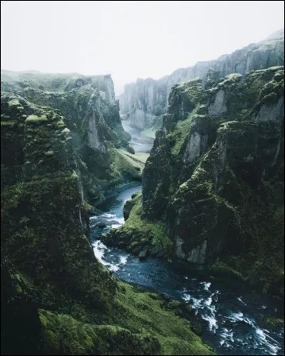 En quelle année le film "Coppelia : La Poupée animée" est-il sorti ?