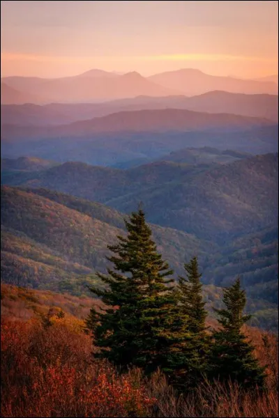 Quelles sculptures sont de Pétrovitch ?