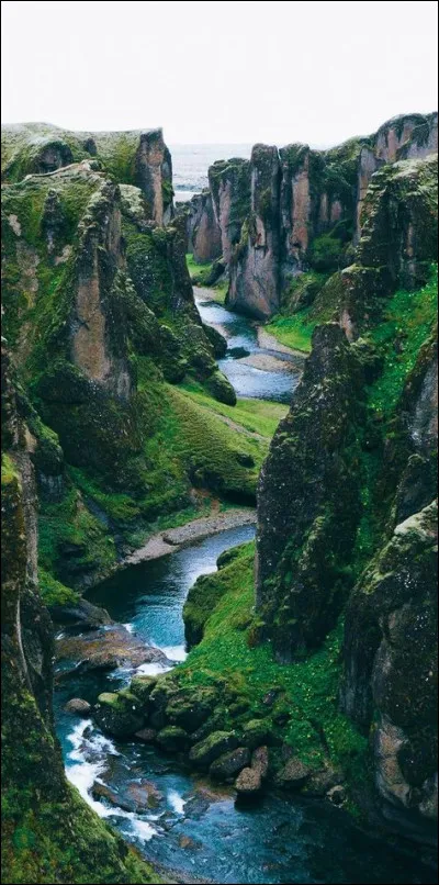 Qui a conduit l'expérience de la poupée Bobo ?