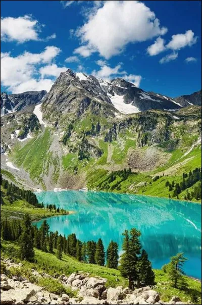 Quel chanteur a fait un album intitulé "Un air de famille" ?