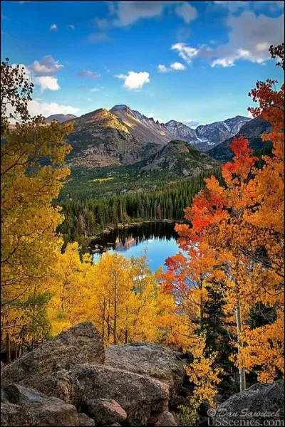 A quel degré êtes-vous parent de votre oncle en droit français ?