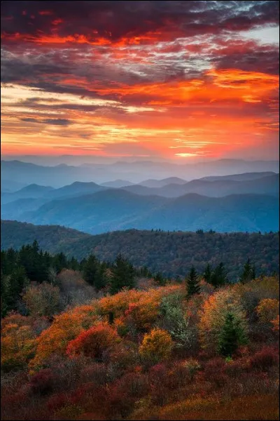 En quelle année Goldman chantait-il "Famille" ?