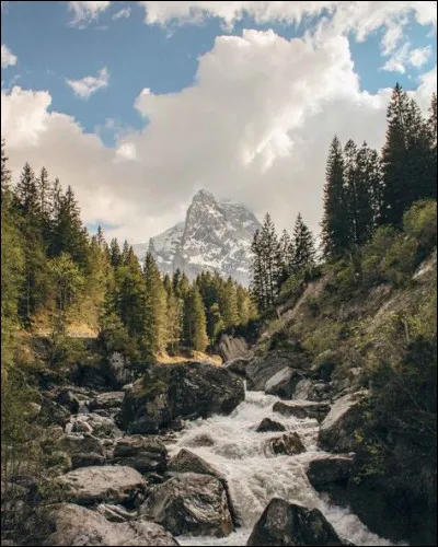 Quel est l'autre nom de la secte La Famille ?