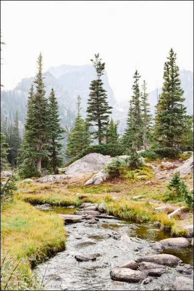 Laquelle de ces langues n'appartient pas à la famille des langues germaniques ?