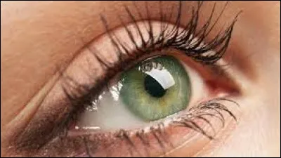 Laquelle des deux a les yeux verts ?