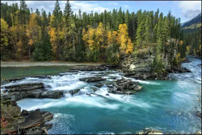 Comment s'appelle le fleuve du parc provincial Rearguard Falls, en Colombie-Britannique (Canada) ?