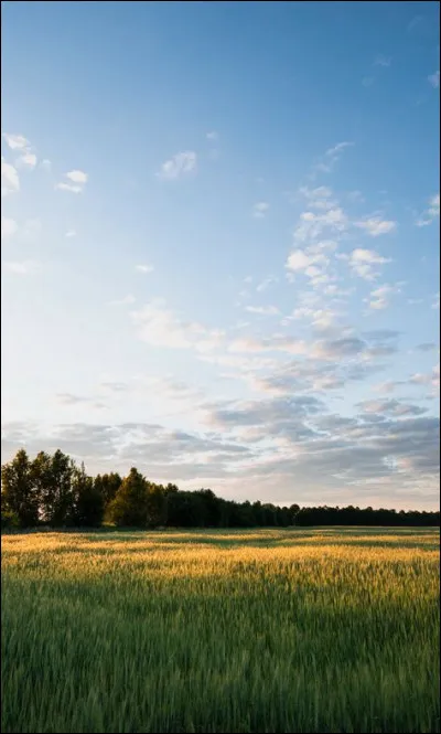 Sous quel nom est-il connu dans la mythologie romaine ?