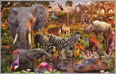 Quel animal préfères-tu ? (3/4)