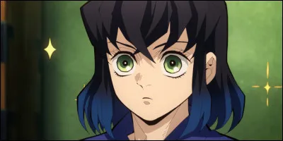 Que porte Inosuke sur sa t&ecirc;te ?