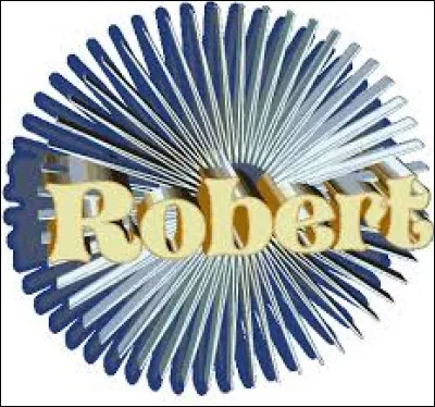 Chez une femme qu'appelle-t-on familièrement un "robert" ?