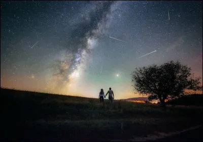 Quelle qualité te correspond  ?