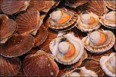 La coquille Saint-Jacques est hermaphrodite, elle possède une autre particularité, laquelle ?