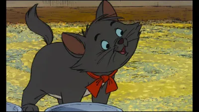 Comment s'appelle ce chat ?