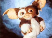 Test Quelle Mathou es-tu ?