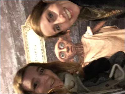 Quelle serait ta maison &agrave; Poudlard ? (Zaza on sait que tu es serpentard, fais pas le malin)