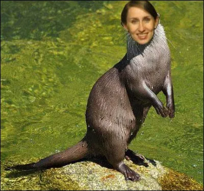 Quelle est ta principale qualit&eacute; en tant que bonne Mathou ?