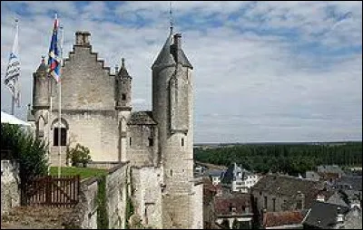 Ville de Touraine, sous-préfecture de son département, Loches se situe ...
