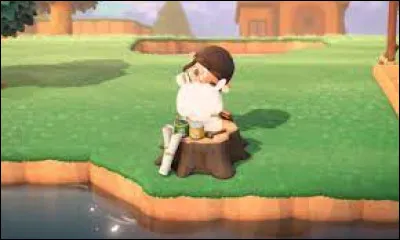 Quel élément permet de fabriquer des accessoires dans ''Animal Crossing'' ?