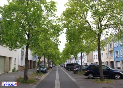 Comment s'appelait autrefois la rue Pierre Mendès France ?