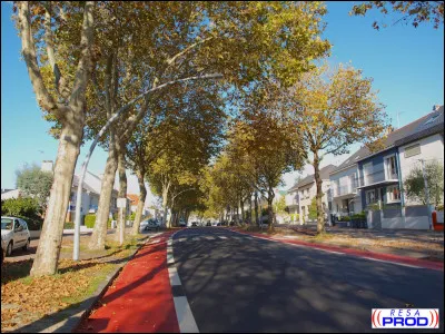 Quel nom ne fait pas partie du "Boulevard de Ceinture" (de Sautron au rond-point de l'Europe via le parc paysager) ?