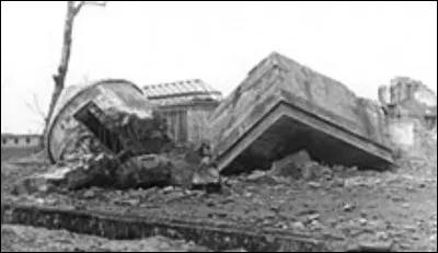 Adolf Hitler est mort &agrave;...