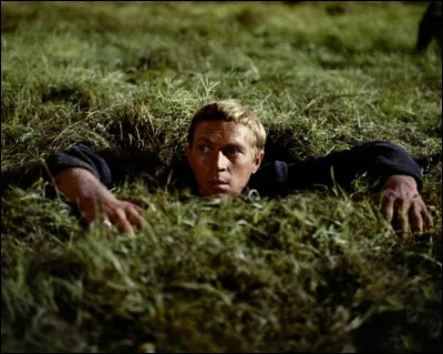 Quel film n'est pas du même réalisateur que les autres ?