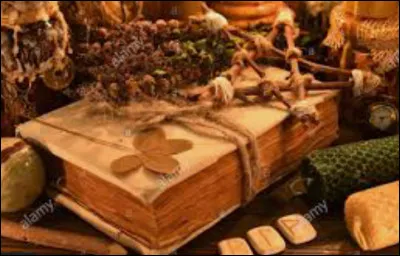 Quel genre de films, séries ou livres aimes-tu le plus ?