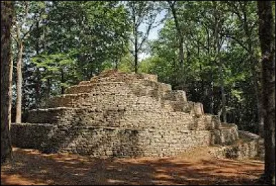 Quel est le nom de cet étrange construction, que l'on rencontre à Cohons, en Haute-Marne ?