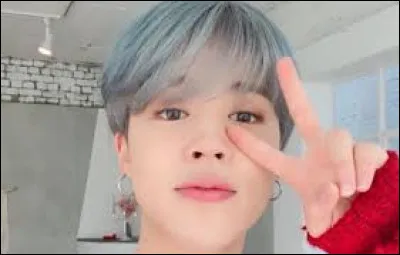 Quelle taille Jimin fait-il ?