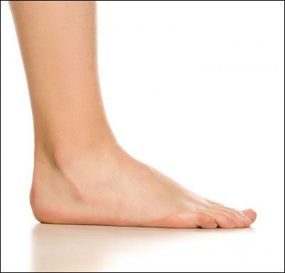 Le nerf sural est dans le pied, vrai ou faux ?