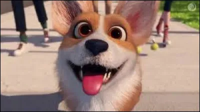 Que fait exploser Luug lors du premier jour sur Terre ?