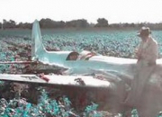 Quiz Films catastrophes en avion