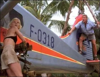 Dans quel film de 1998, cette journaliste se retrouve confronté à un vieux pilote après un crash sur une île déserte ?