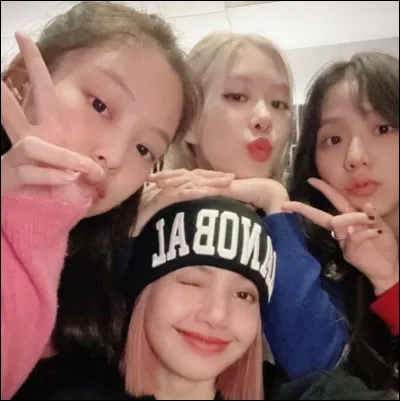 Comment s'appelle la série où on peut suivre la vie des Blackpink ?