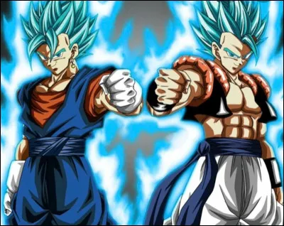 Comment s'appelle la fusion de Goku et Vegeta (danse) ?