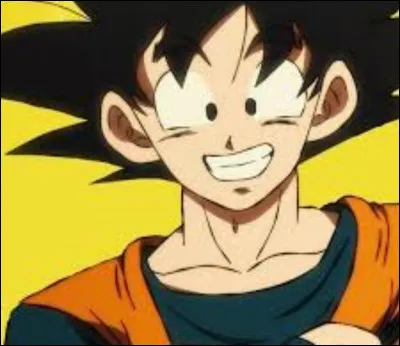 Qui est le frère de Goku ?